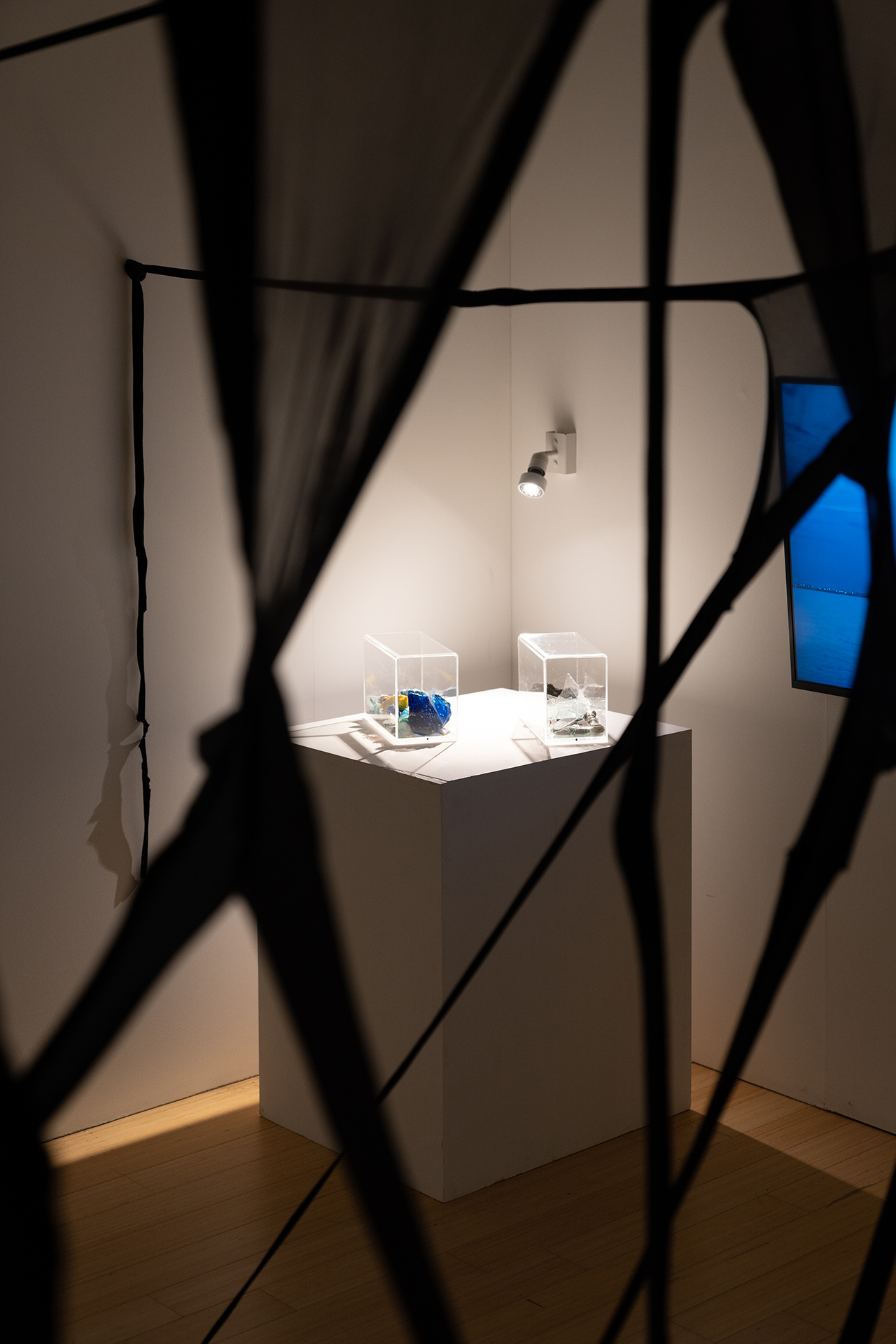 Musei fotografati da Giulia Broz, fotografa professionista, per documentare ambienti e opere