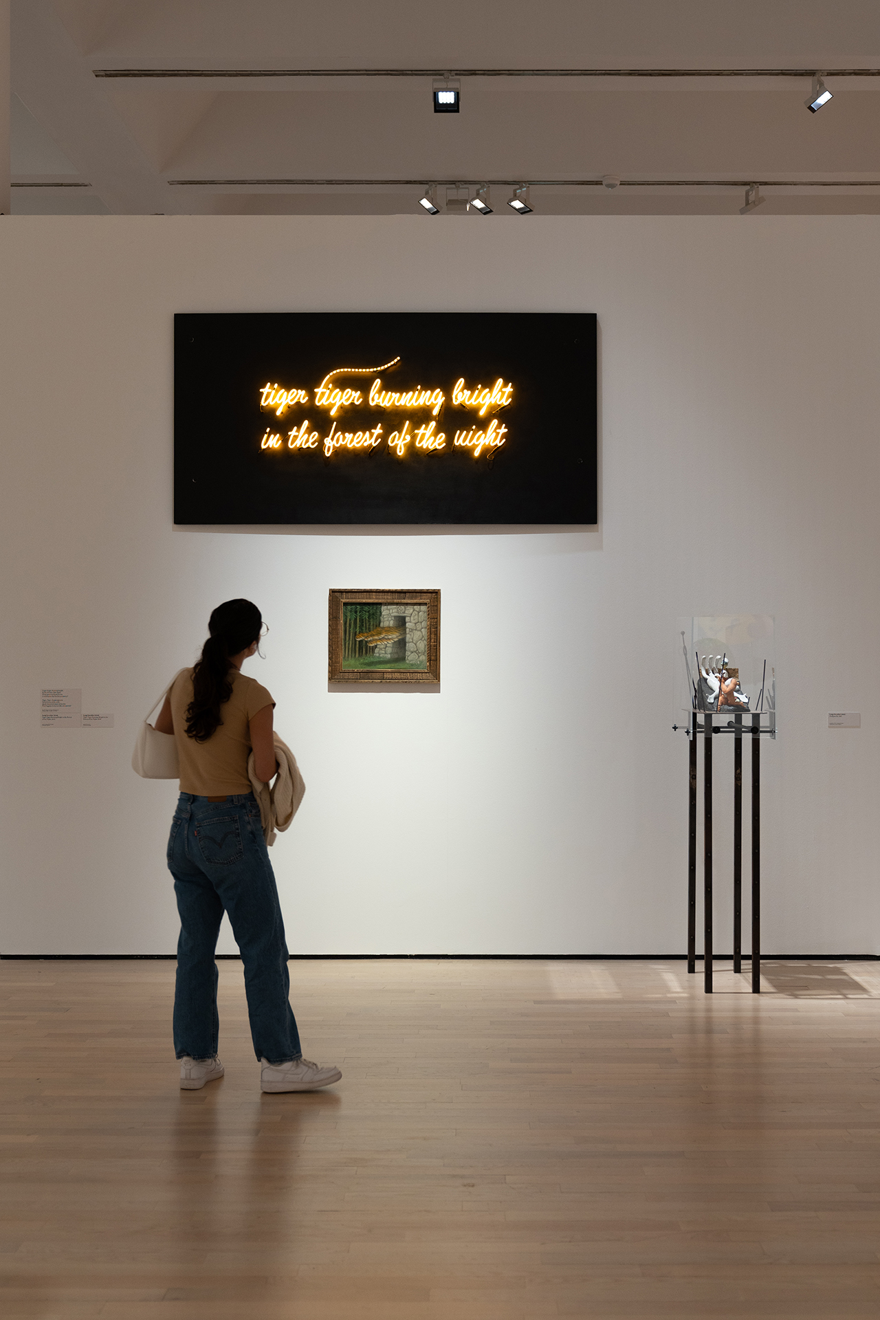 Musei fotografati da Giulia Broz, fotografa professionista, per documentare ambienti e opere